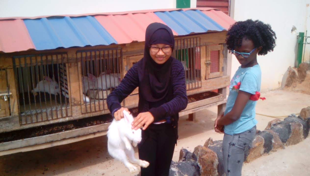 Journée à TOHOLAND