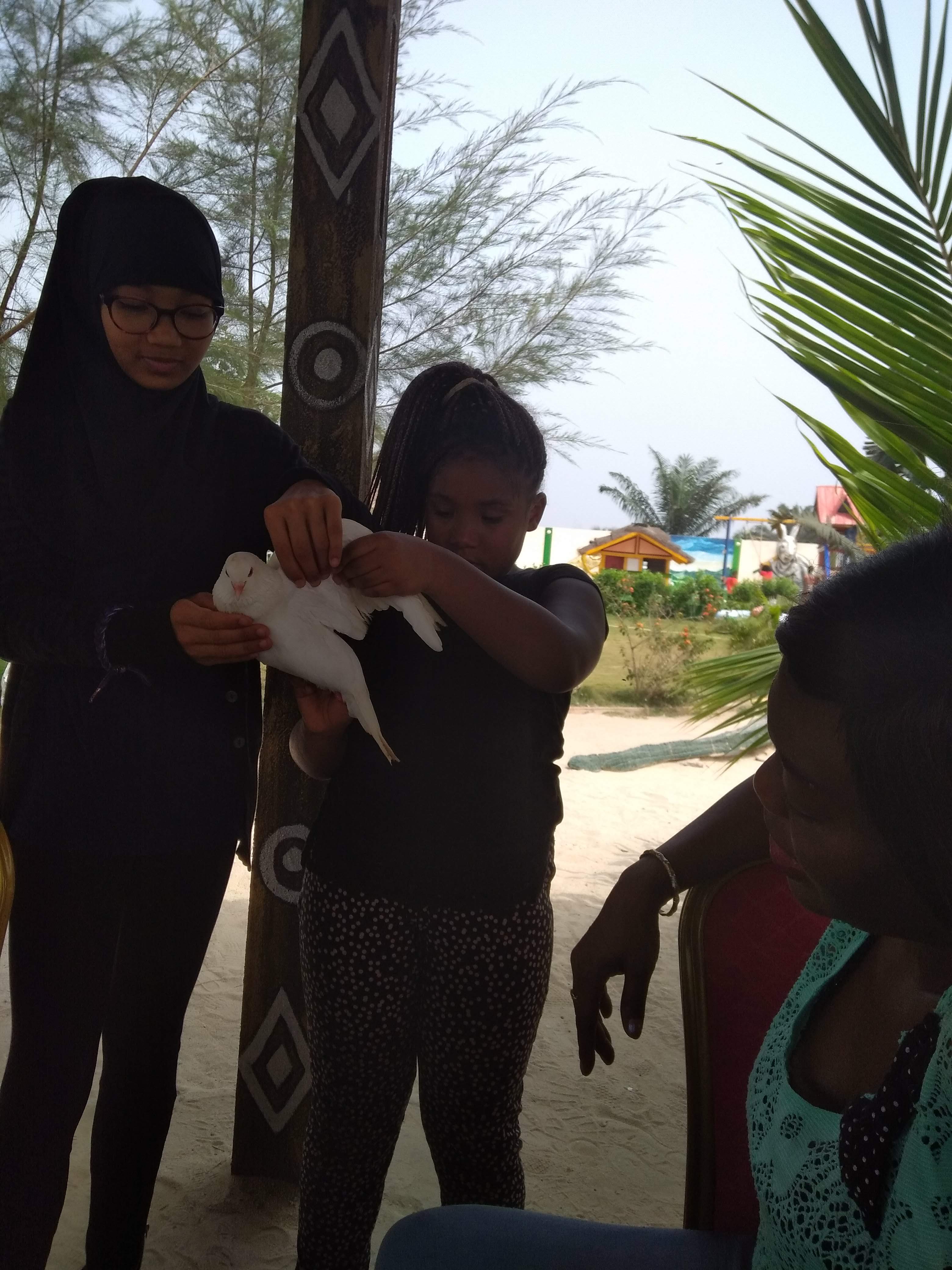 Journée à TOHOLAND