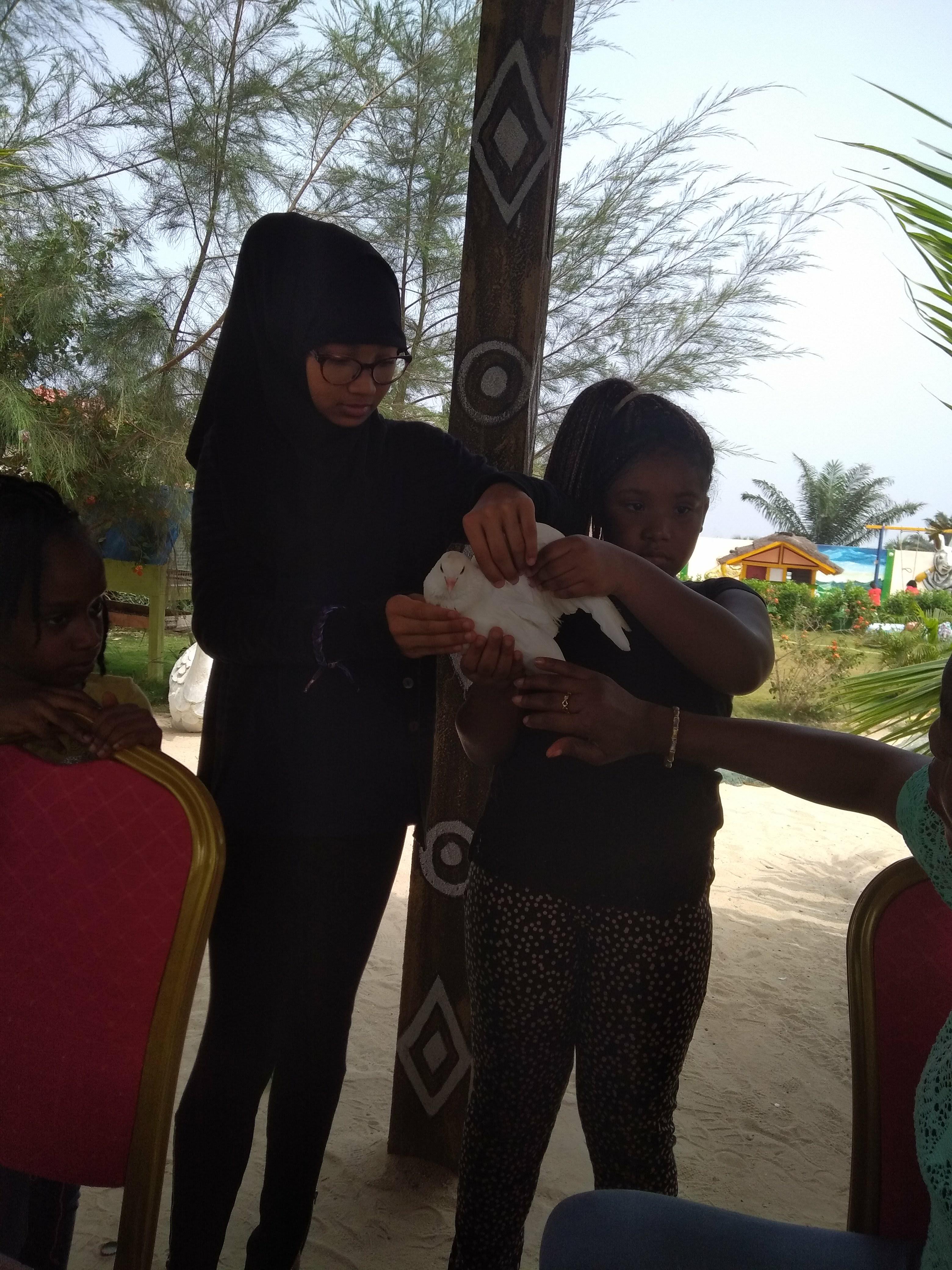 Journée à TOHOLAND